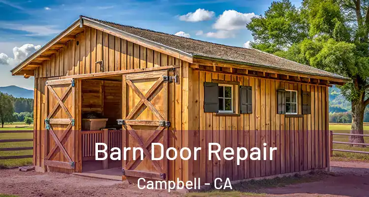  Barn Door Repair Campbell - CA