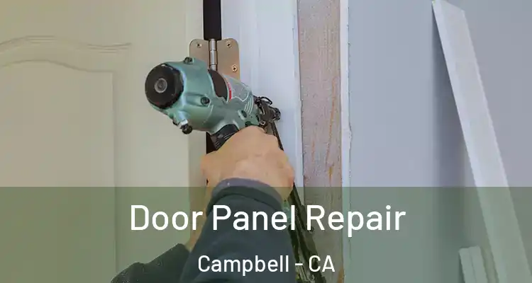  Door Panel Repair Campbell - CA