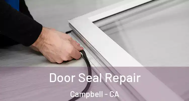  Door Seal Repair Campbell - CA