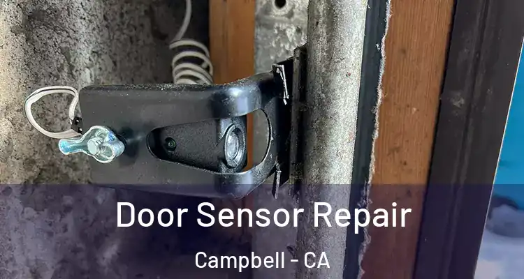  Door Sensor Repair Campbell - CA