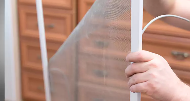 Privacy Mesh Screen Door Installation in Campbell, CA
